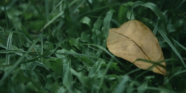 Skin signals: What your environment is communicating to your skin