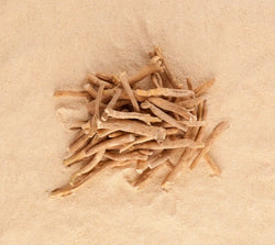 Withania Somnifera (Ashwagandha) Root Extract