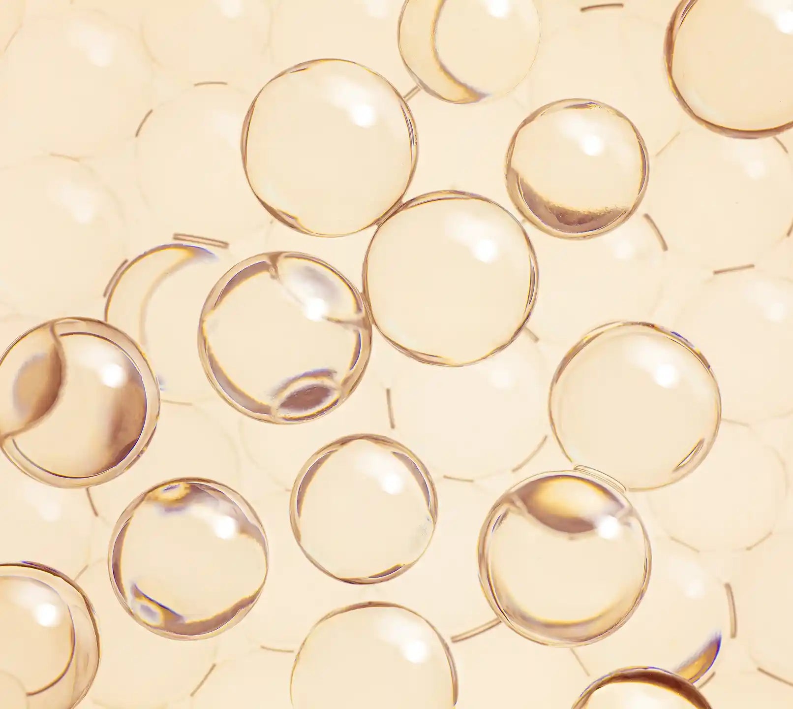 Ceramide