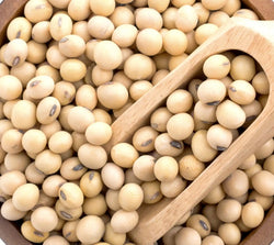 Hydrolyzed Soy Protein