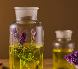 Lavandula Angustifolia (Lavendar) Flower Oil
