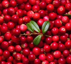Vaccinium Vitis Idaea Fruit (Lingonberry) Extract