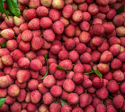 Litchi Chinensis Seed Extract