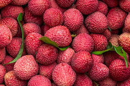 Litchi Fruit
