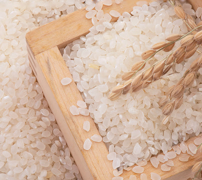 Rice Ferment Extract Nihonshu (Sake) Extract