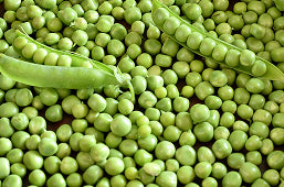 Pea Extract