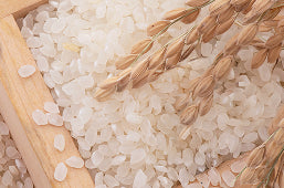 Rice Extract