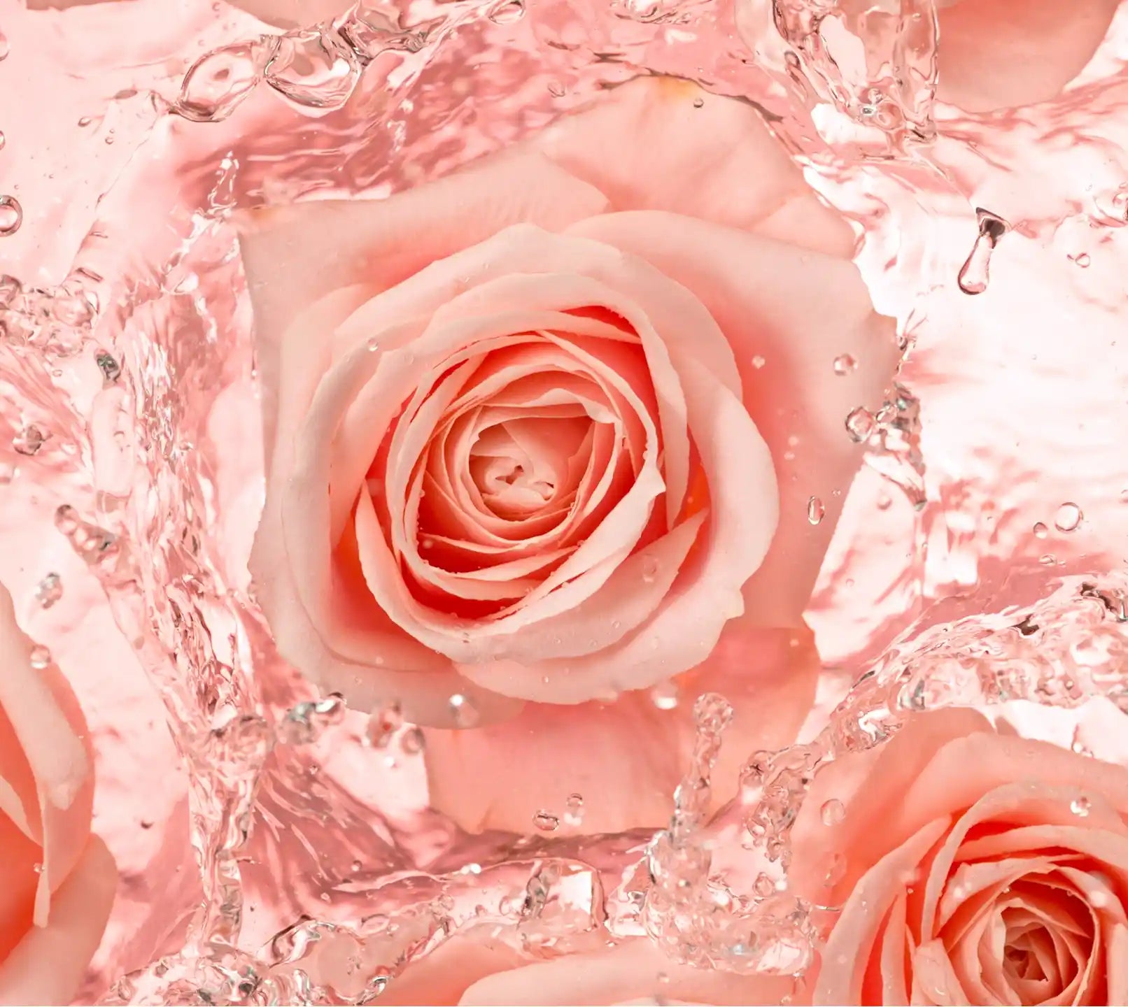 Rose Water