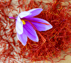 Crocus Sativus (Saffron) Extract