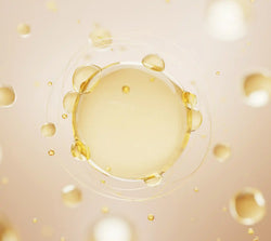 Tetrahexyldecyl Ascorbate