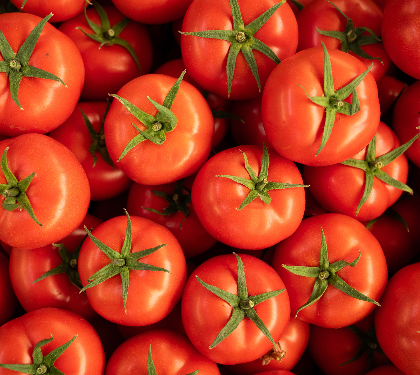 Solanum Lycopersicum (Tomato) Fruit Extract