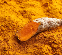 Turmeric Extract